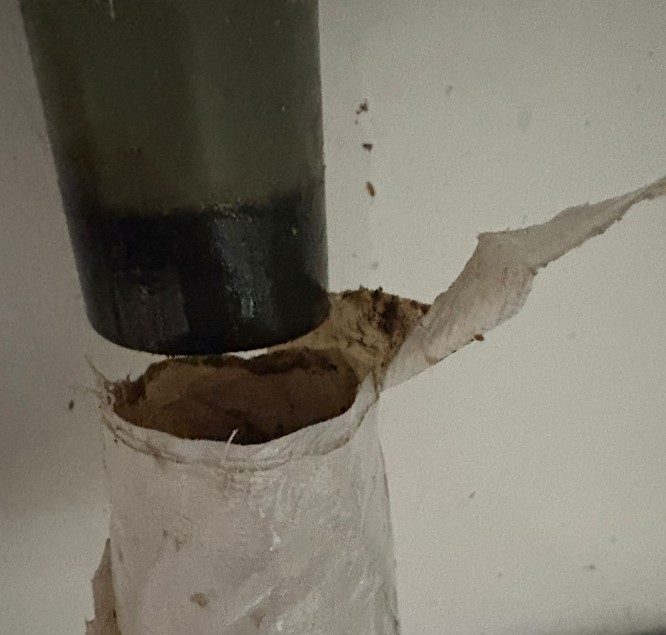 leaking pipe 2