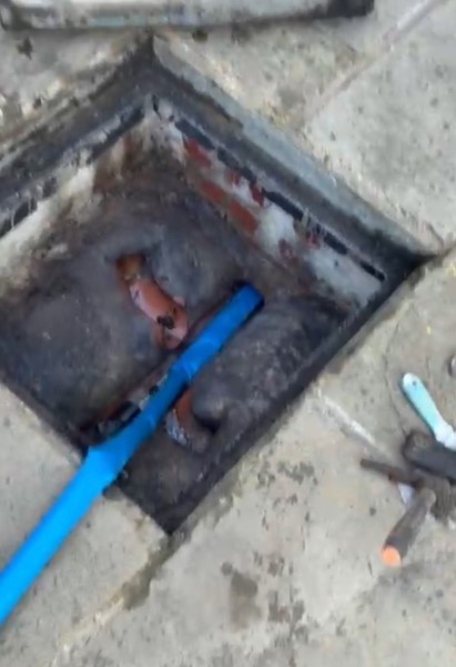Pond Drainage